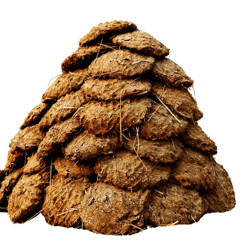 Cow Dung Cake