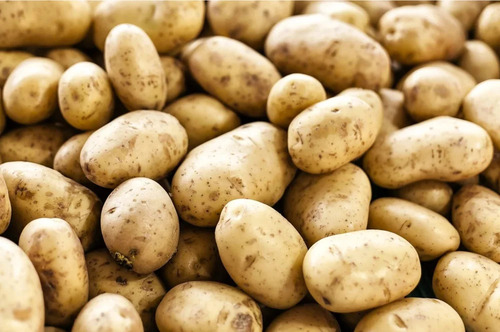 Loose Creamy White Processed Potato