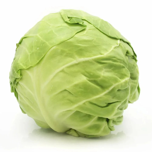 Loose Green Cabbage - Cultivation Type: Traditional