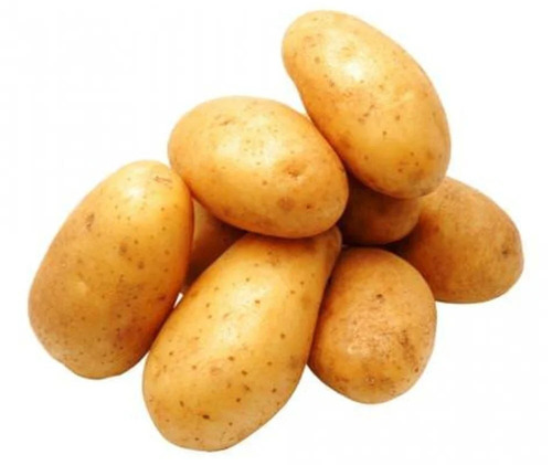 Loose Light Brown Table Potato