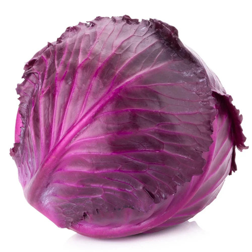 Loose Red Cabbage - Cultivation Type: Traditional