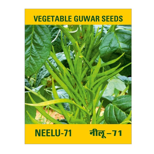 Neelu 71 Guwar Seed - Cultivation Type: Conventional