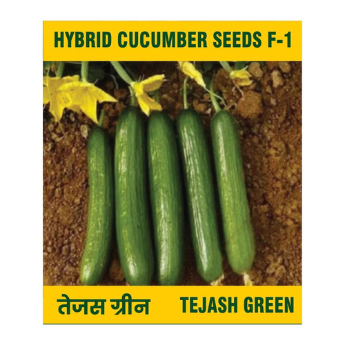 Tejash Green Hy F1 Cucumber Seed