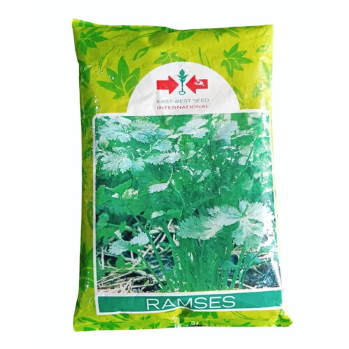 East West Ramses Coriander Seed - Cultivation Type: Conventional
