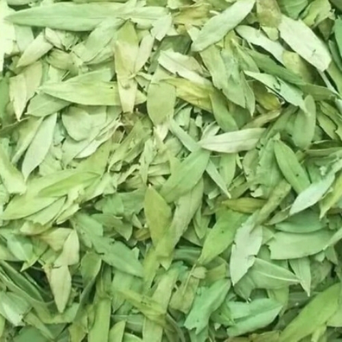 Senna Leaves
