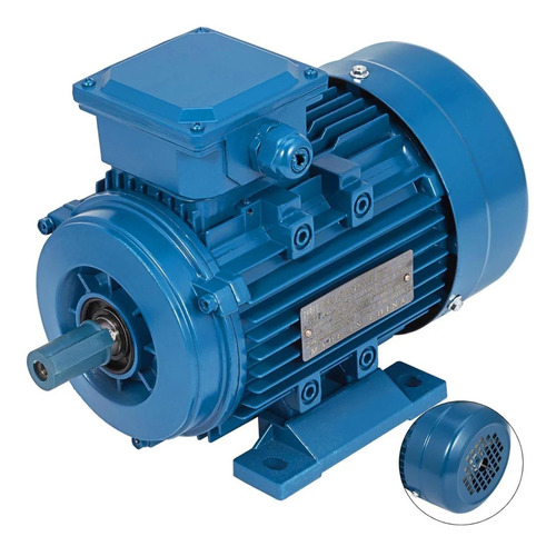 50 Hp Three Phase Induction Motors