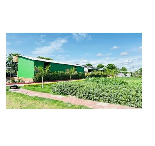 PUF Insulated Roofing Panel