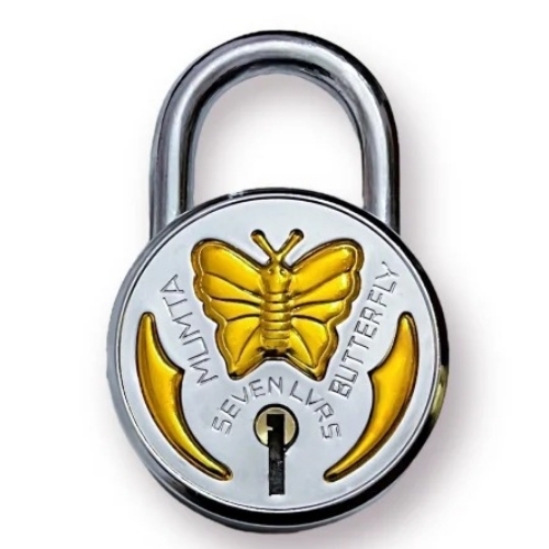 Stainless Steel Padlock