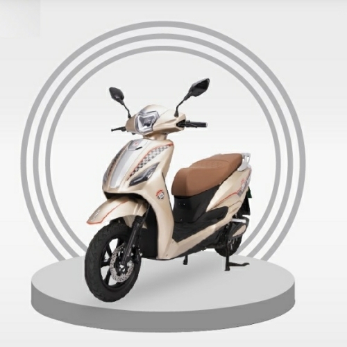 Storm XL Electric Scooter