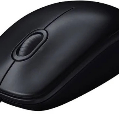 Computer Mouse