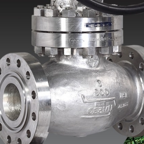 Gate Valves - Bolted Bonnet