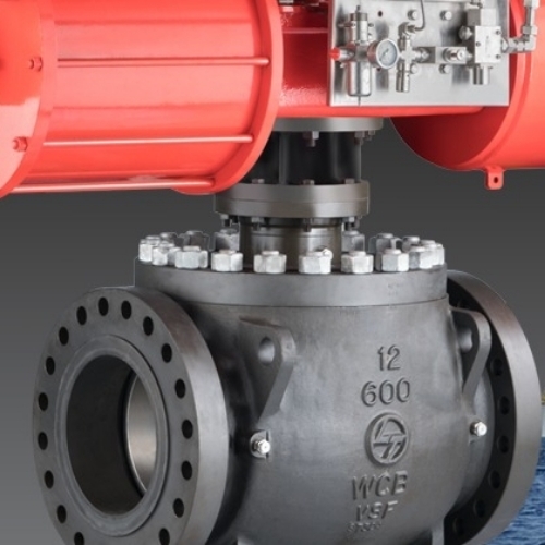 Trunnion-Mounted Ball Valves