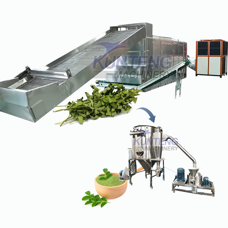 Fully Automatic Moringa Leaf Dehydrator Machine Moringa Leaf Continu Drying Machine Moringa Drying Grinding Production Line