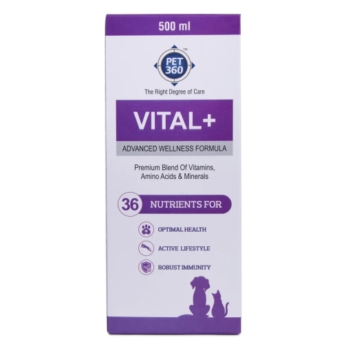 Vital + Veterinary Medicine