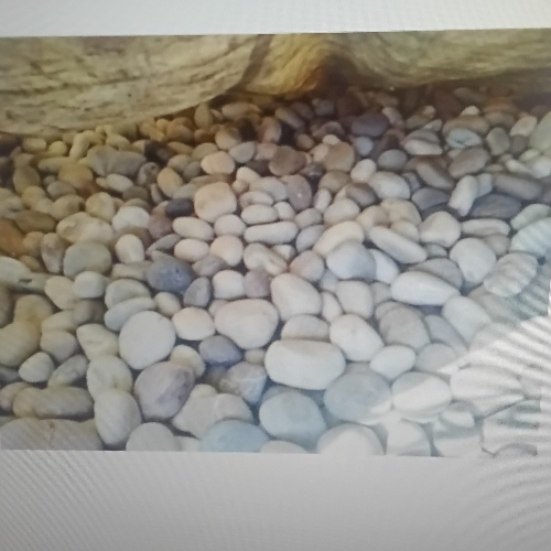 Natural colored pebbles stone