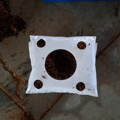 Coco peat grow bag