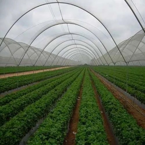 Agro Shade Nets - Advantage: Reduces Sunlight Exposure