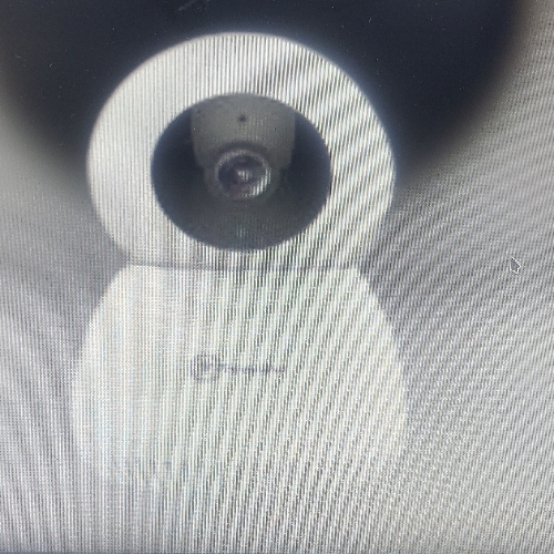 True view 5 amplifier Robert camera