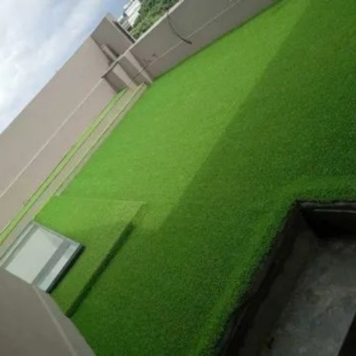 25 Mm Roof Grass