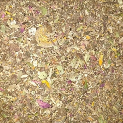 Brown Pure Havan Samagri