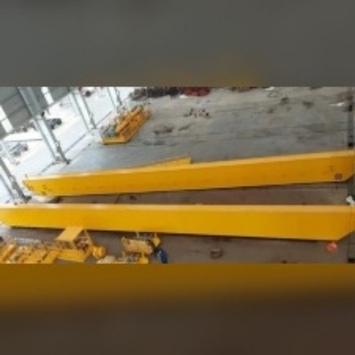 Double girder EOT cranes