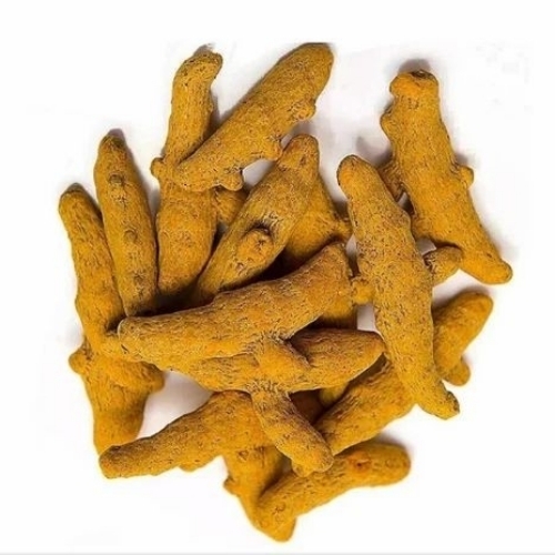 Dried Turmeric Finger