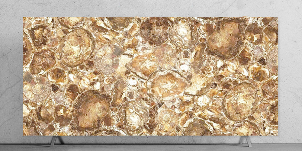 Beige Petrifed Wood Stone Slab