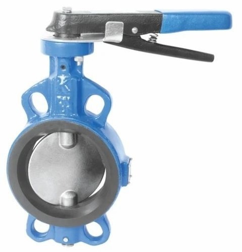 Intervalve Butterfly Valve