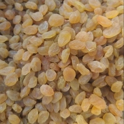 Fresh Golden Raisins 
