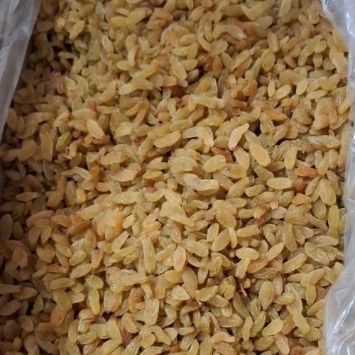 Fresh Yellow Raisins