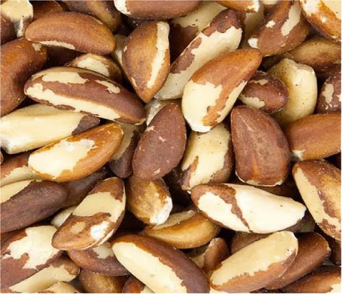 Brazil Nut