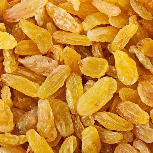 Golden Raisin
