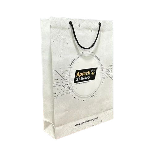 Recyclable Paper Bags