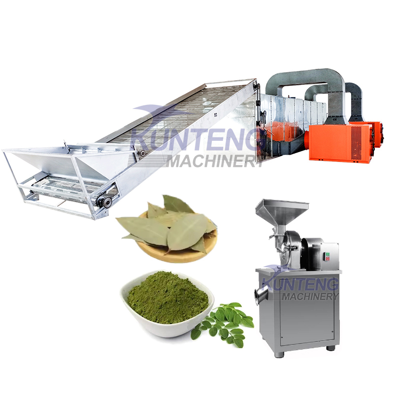 Moringa Leaves Dryer Industrial Product Dryer - Usage: Spice Drying