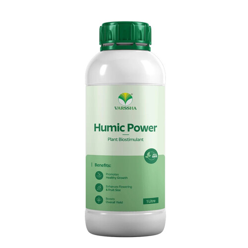 20% Humic Acid (Humic Power)