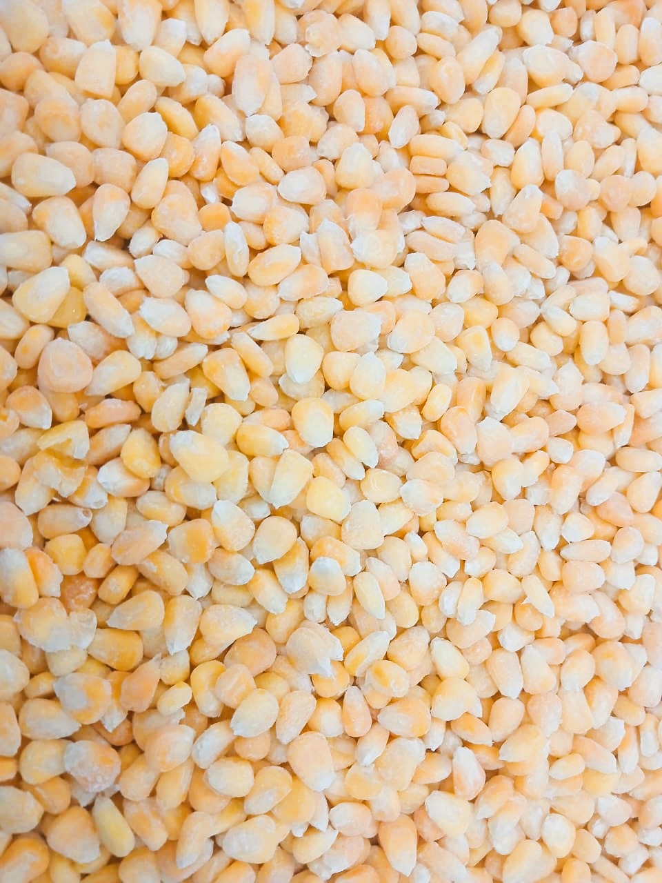 Frozen Sweet Corn Kernels