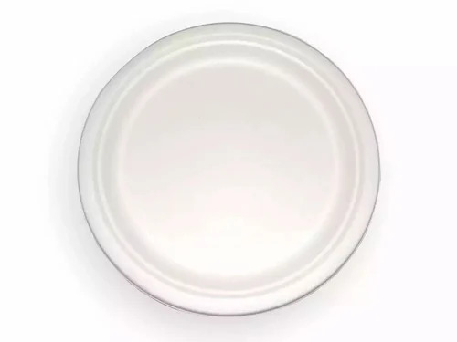 White Bagasse Disposable Plate