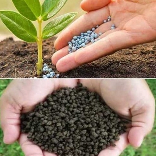 Nutrient Rich Bio Fertilizer