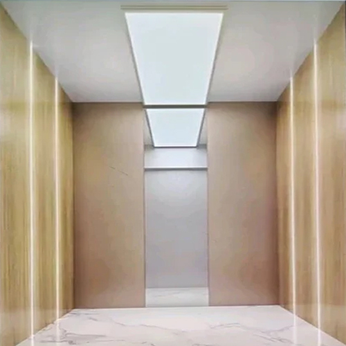 Mall Electric Passenger Lift