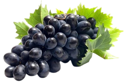 Fresh Black Grapes