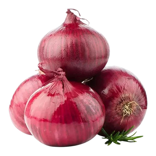 Fresh Red Onion