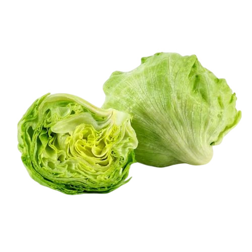 Green Lettuce Iceberg
