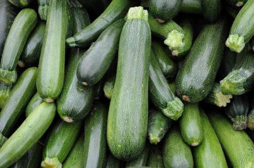 Green Zucchini