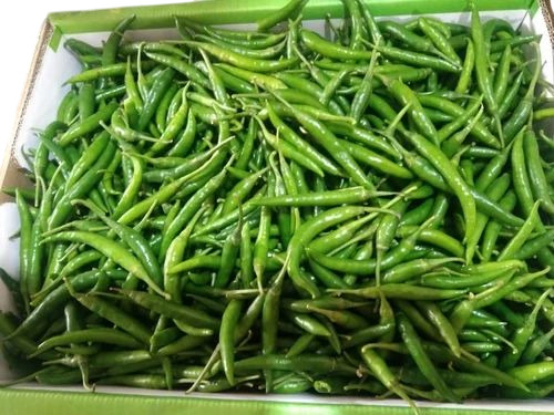 Natural Fresh Green Chilli