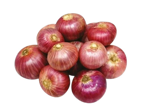 Natural Fresh Onion
