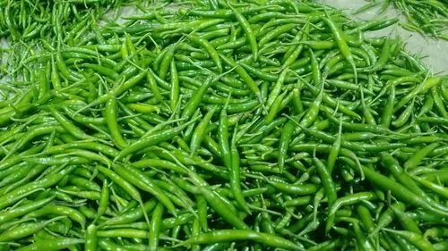 Natural Green Chilli
