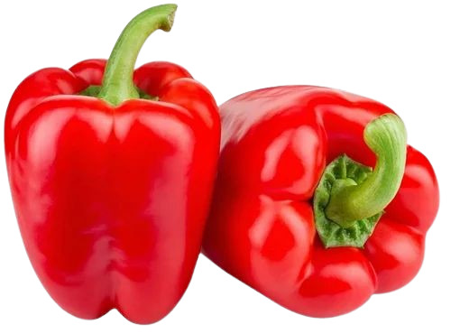 Red Capsicum - Cultivation Type: Common