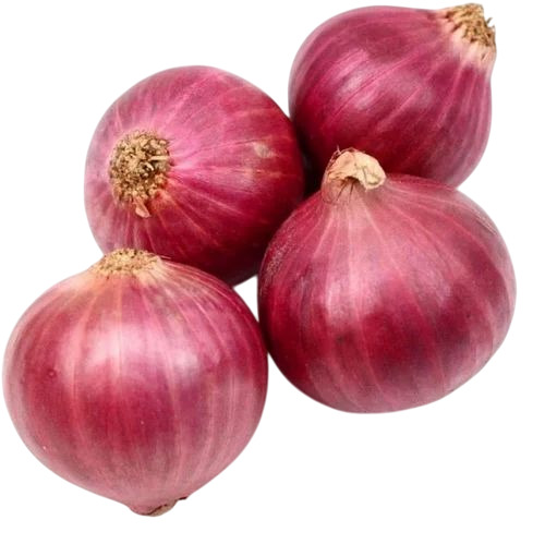 Red Onion