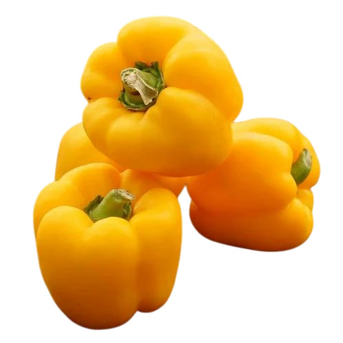 Yellow Capsicum
