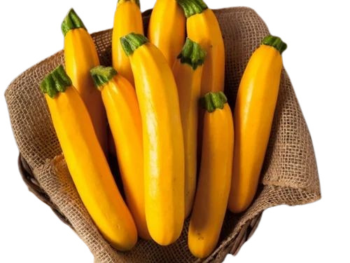 Yellow Zucchini